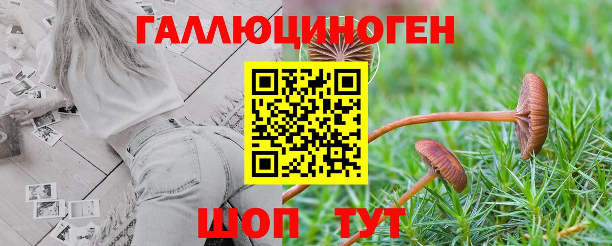 Семёнов  Псилоцибиновые грибы Psilocybine cubensis  Вход с VPN 